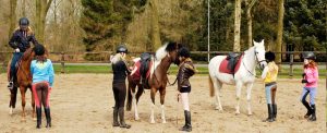 kinderfeestje manege biessum delfzijl