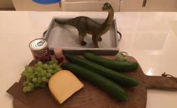 traktatie-dinosaurus-komkommer traktatie-dinosaurus-komkommer